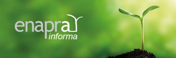 Immagine piantina per circolare informativa