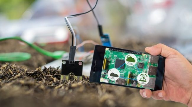 Smart phone collegato a zolla di terra con piantina