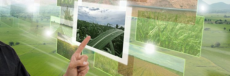 agricoltura-milioni-euro-droni-campo-sensori-trattori-1