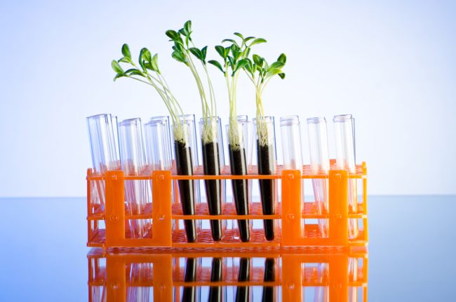 Immagine per rassegna smart agrifood