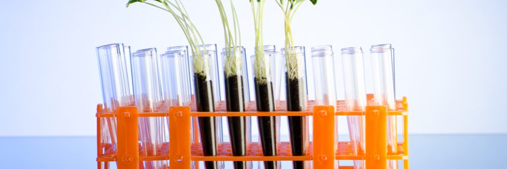 Immagine per rassegna smart agrifood