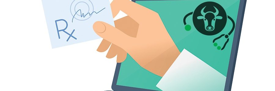 Ricetta veterinaria elettronica