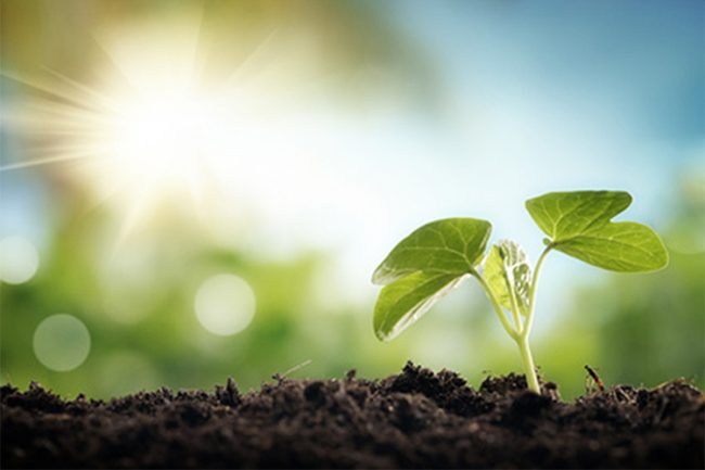 Collegato-agricoltuira