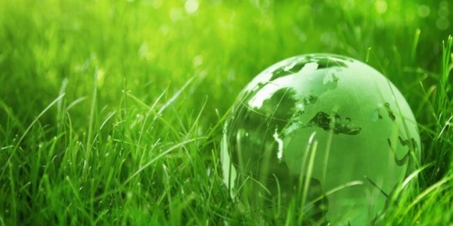 giornata-mondiale-ambiente-1024×682-800×400