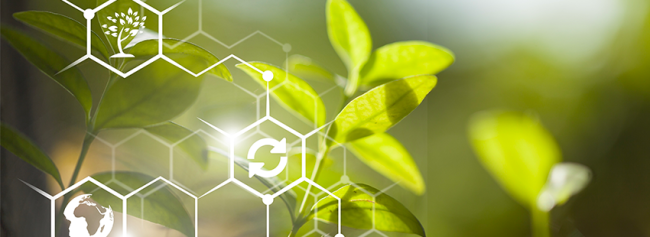 smartagrifood-agricoltura-40