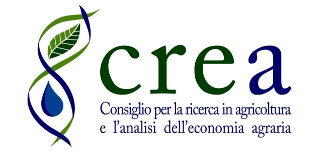 Crea 3