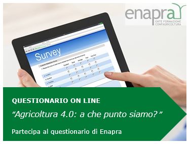 questionario 4