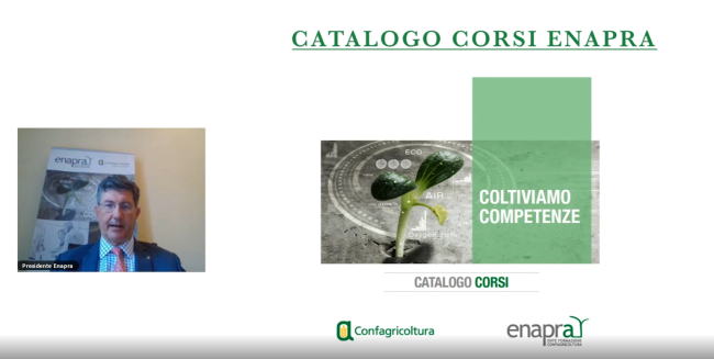 catalogo