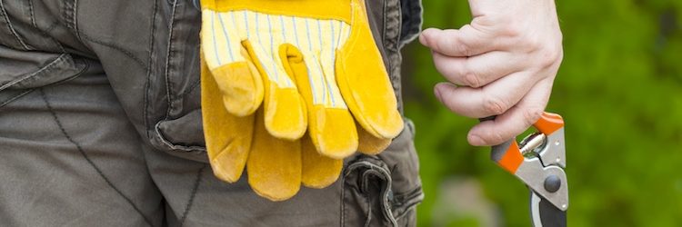 sicurezza-lavoro-agricoltura-by-lukasvideo-fotolia-750
