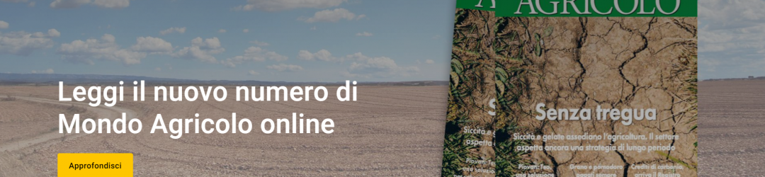Senza titolo