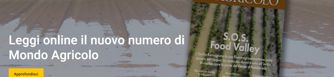 Senza titolo1