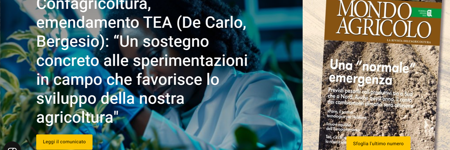 Senza titolo1
