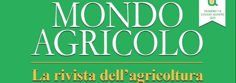 Immagine 2025-08-06 102352