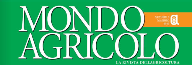 Screenshot 2025-06-13 181341