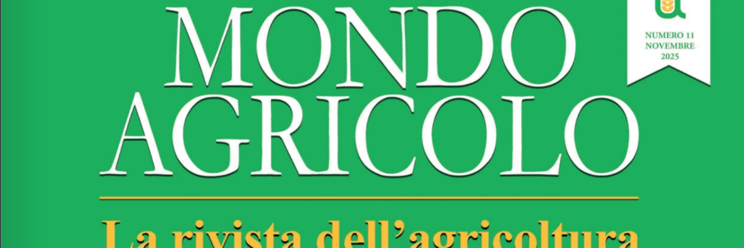 Screenshot 2025-11-28 154912