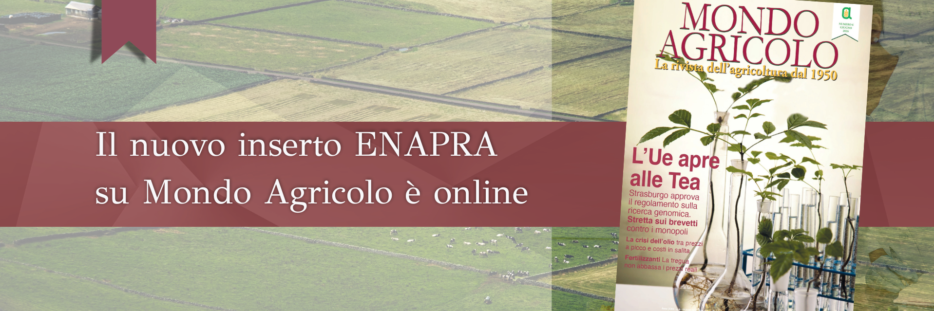 Formazione, innovazione e capitale umano il nuovo inserto ENAPRA su Mondo Agricolo (2)
